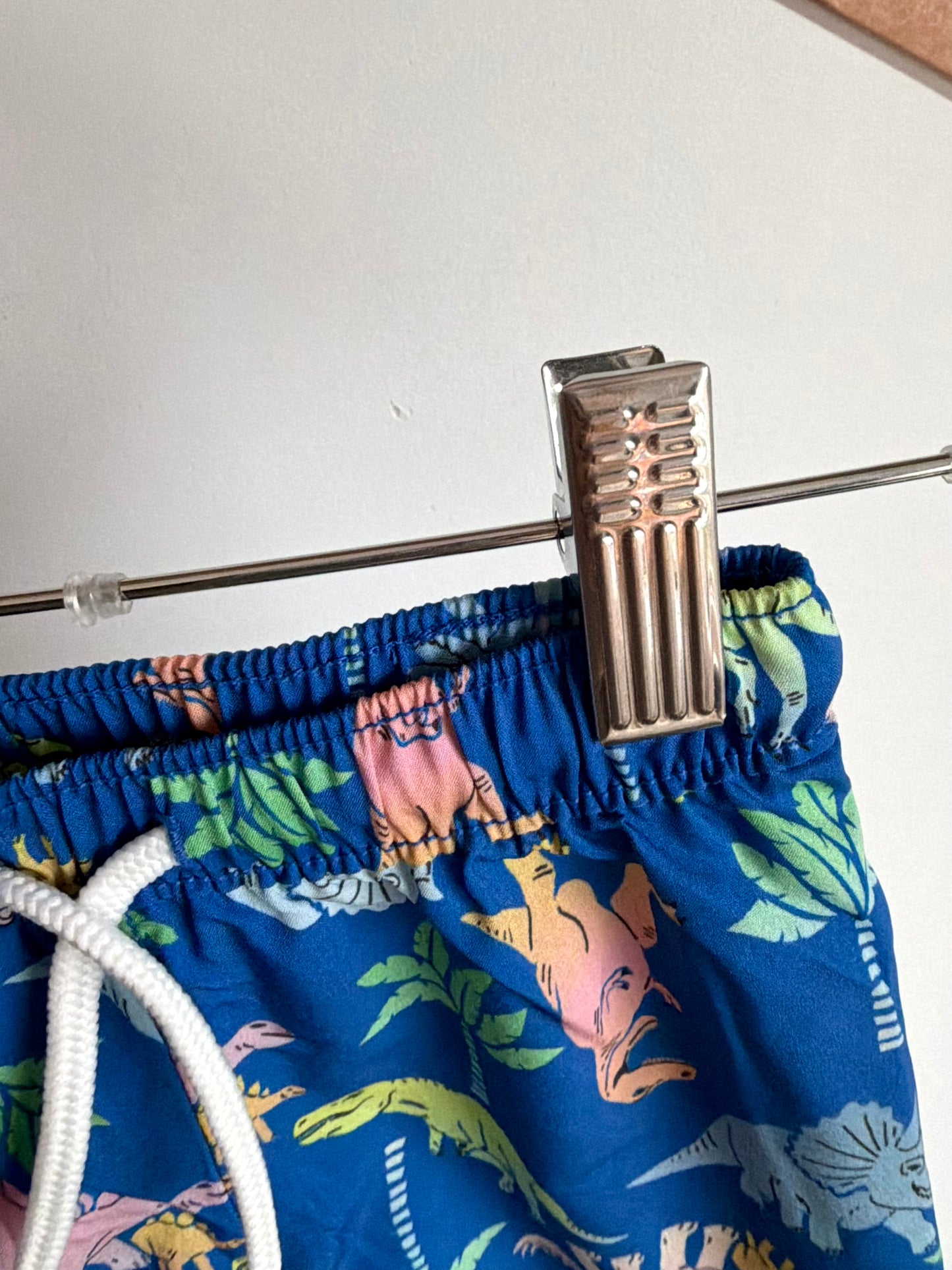Blue Dino Swim Shorts (No Mesh) / 3-6m