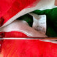 Colorful Tutu Skirt / 2T?