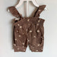 100% Cotton Brown Sand Dollar Top + Pants Set (With Tags) / 6m