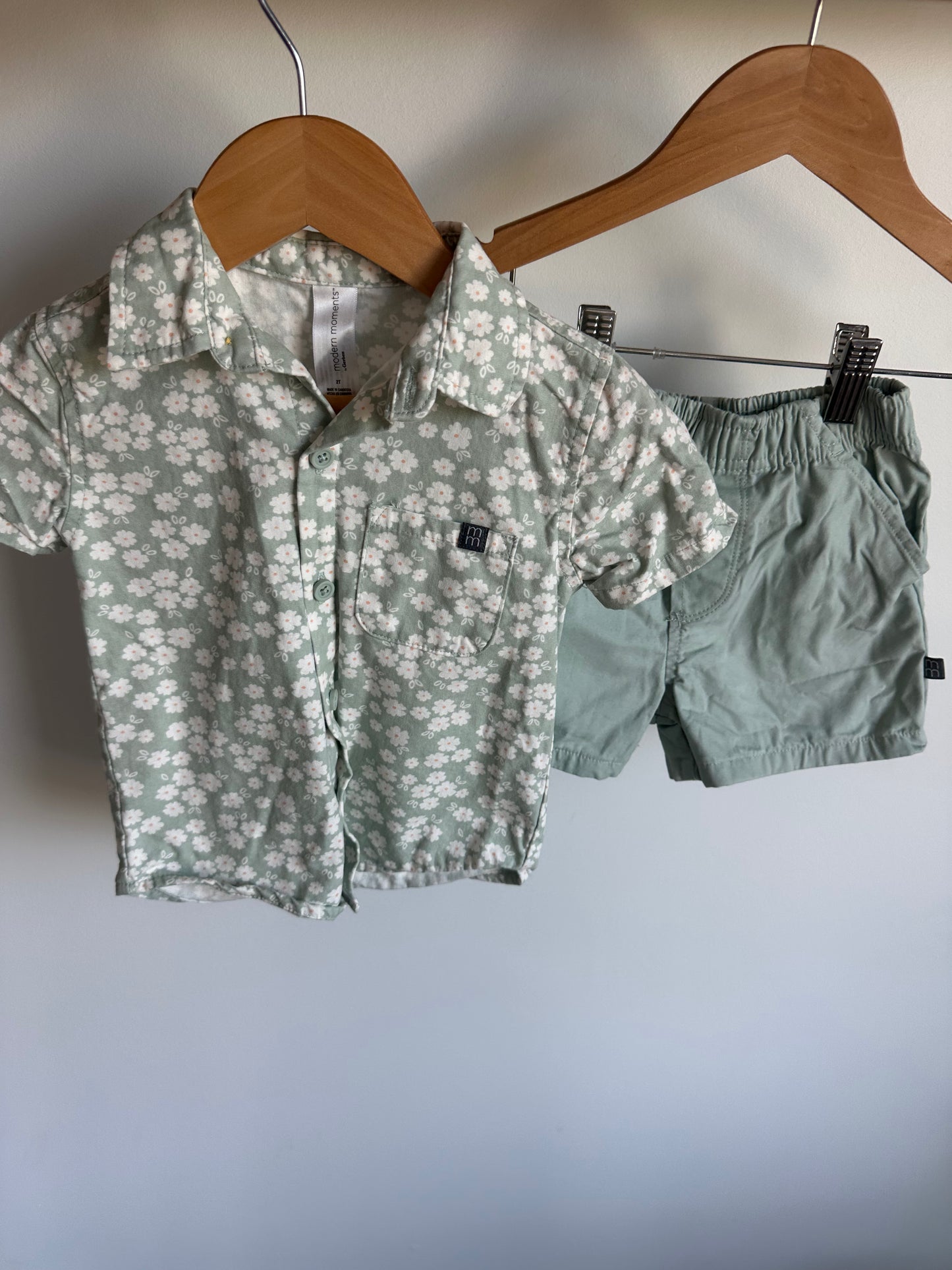 Daisy Sage Top + Shorts Set / 2T