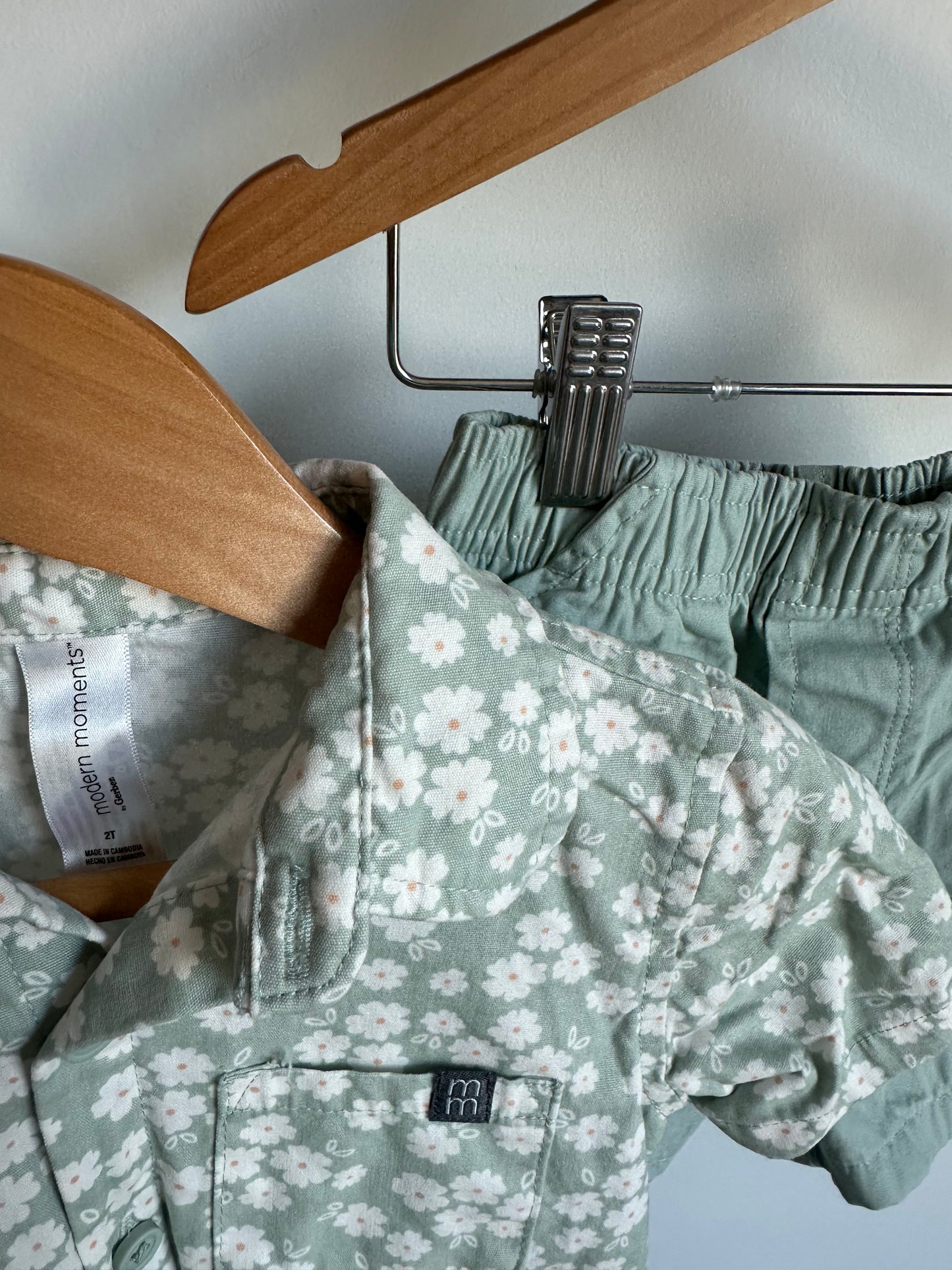 Daisy Sage Top + Shorts Set / 2T