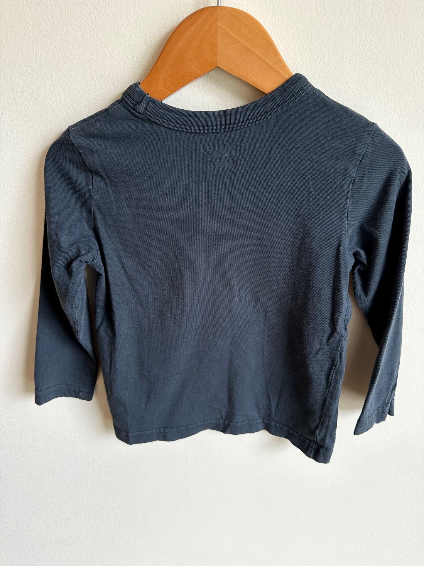 Blue Long Sleeve / 3T