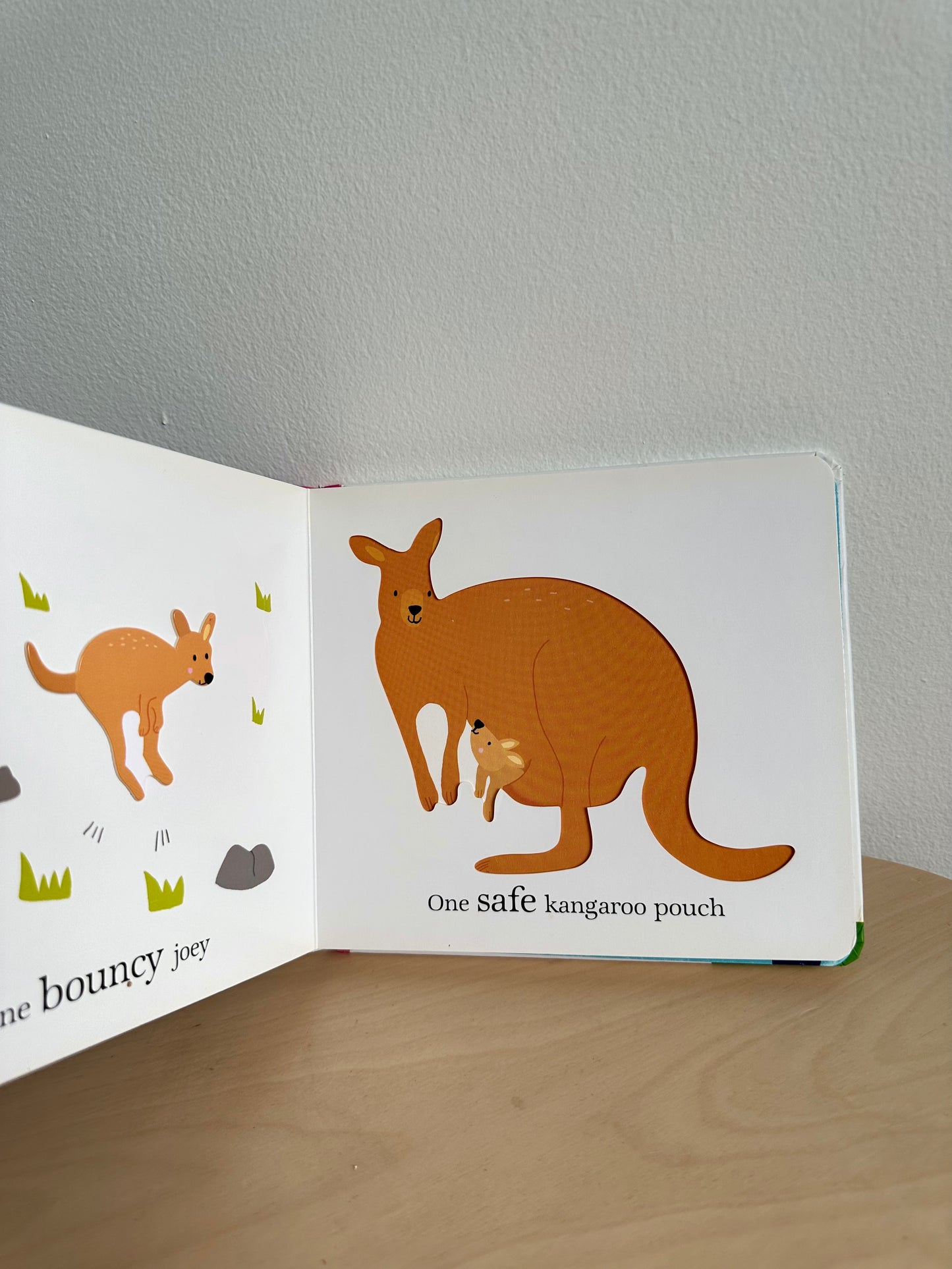 A Caboodle of Cuddles Board Book / 0-2 years