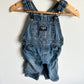 OshKosh Denim Overall / 6m