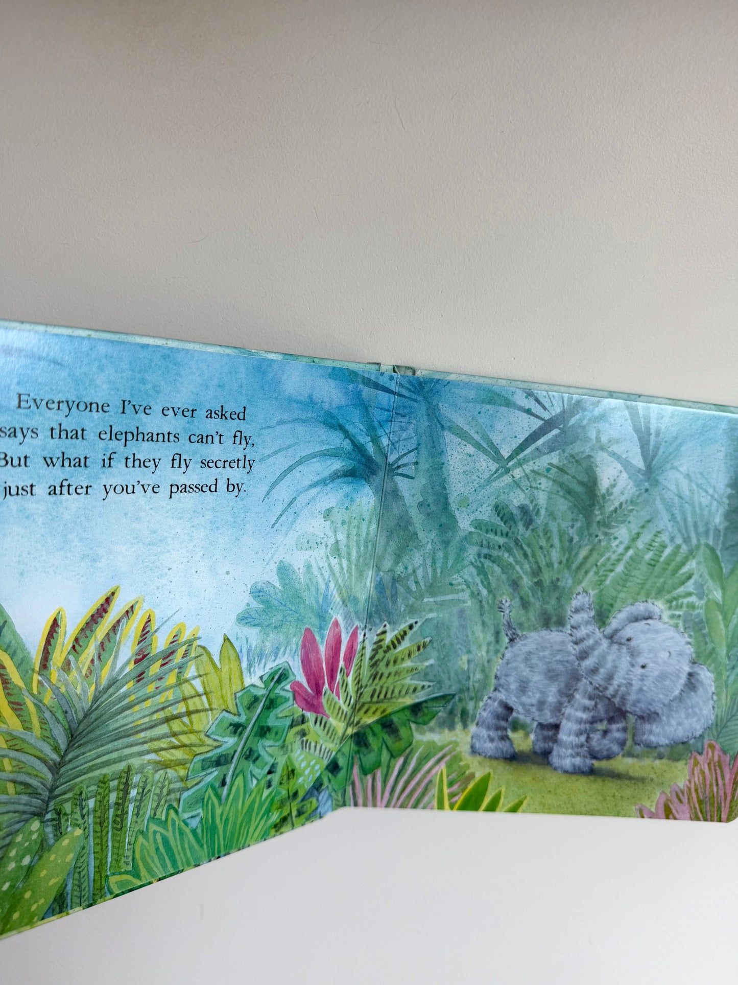 Elephants Can't Fly Book / 0-3 years (No Shipping)