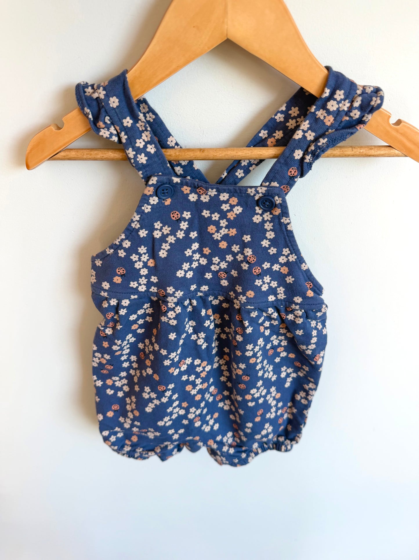 Ladybug Floral Blue Overall Romper / 12m