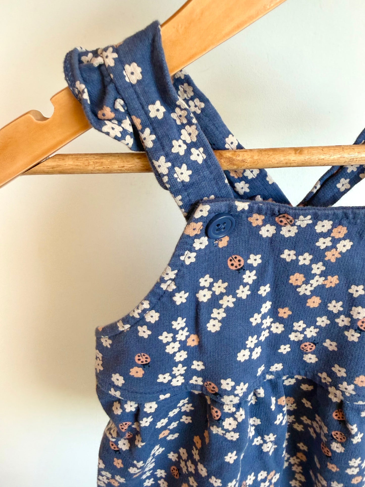 Ladybug Floral Blue Overall Romper / 12m