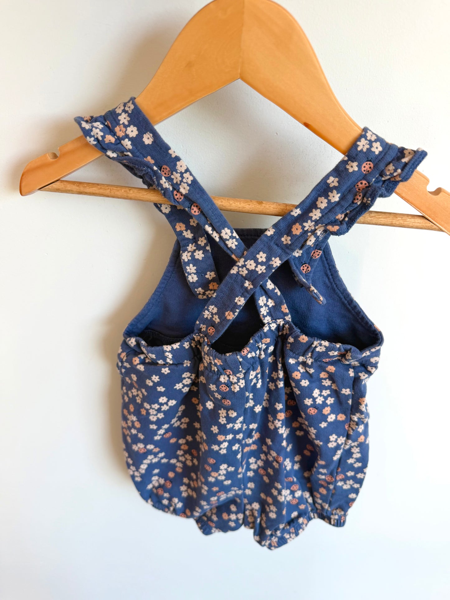 Ladybug Floral Blue Overall Romper / 12m
