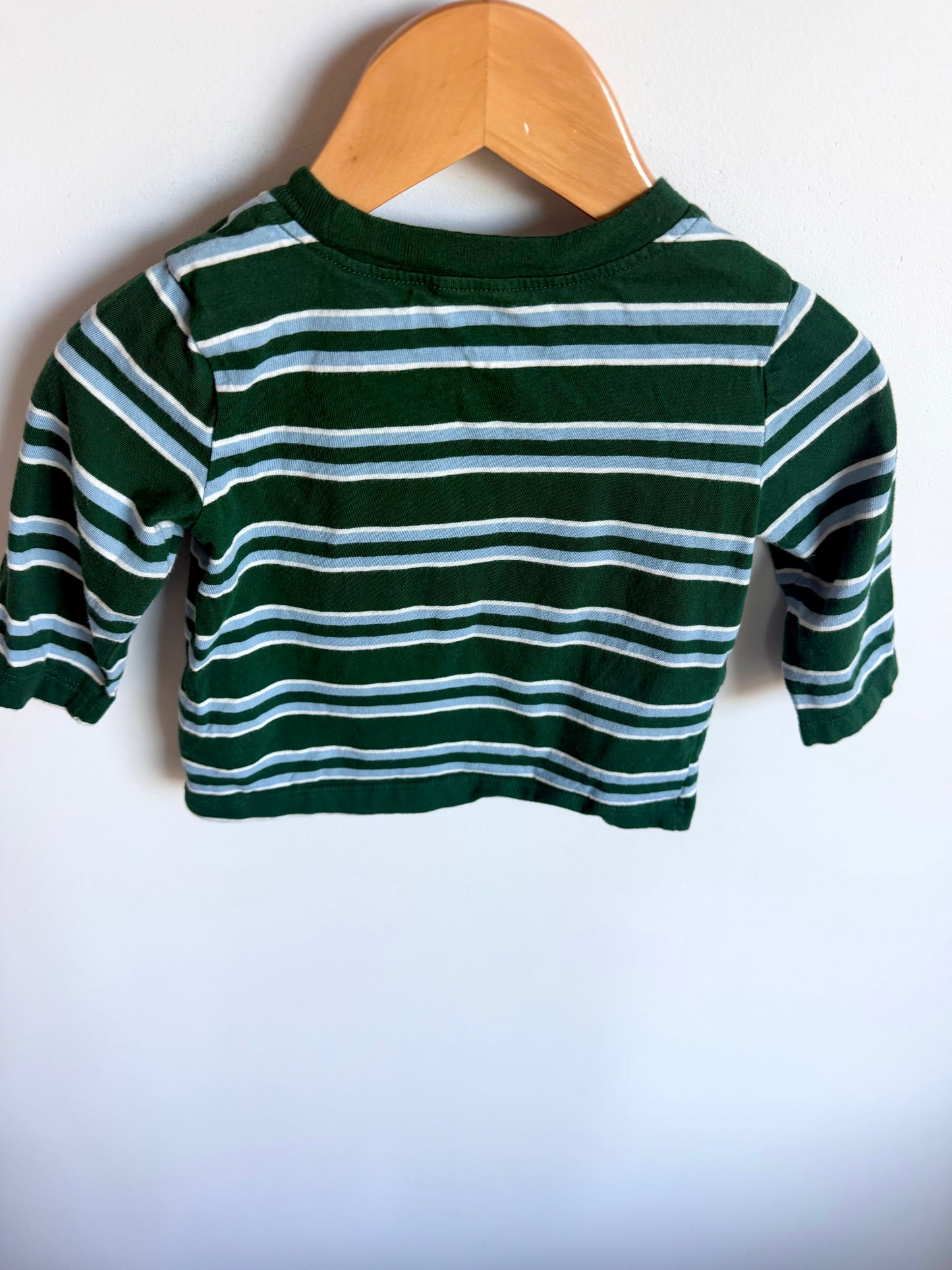 100% Cotton Gap Blue + Green Striped Long Sleeve / 6-12m