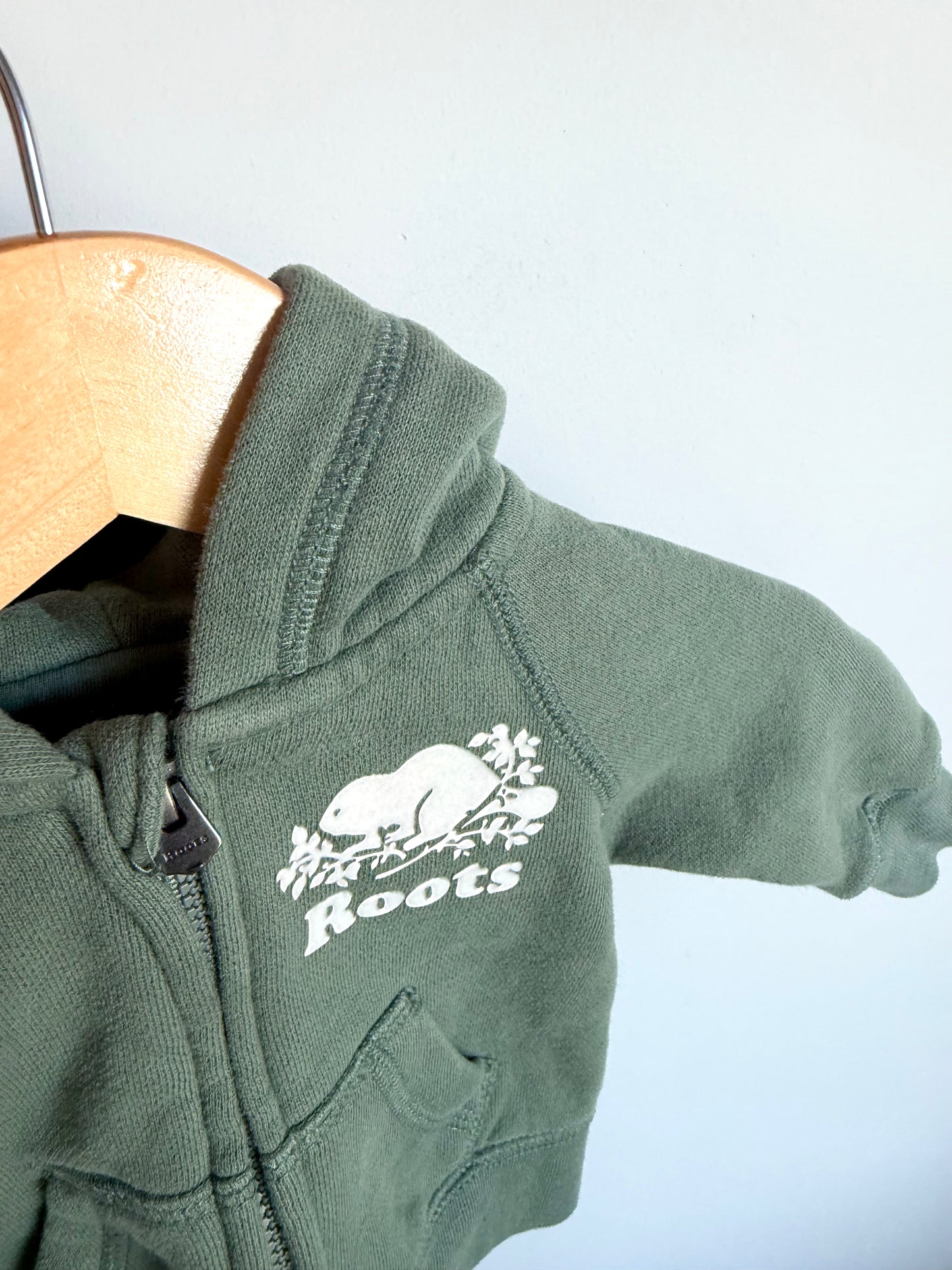 Roots Sage Zip Hoodie / 0-3m