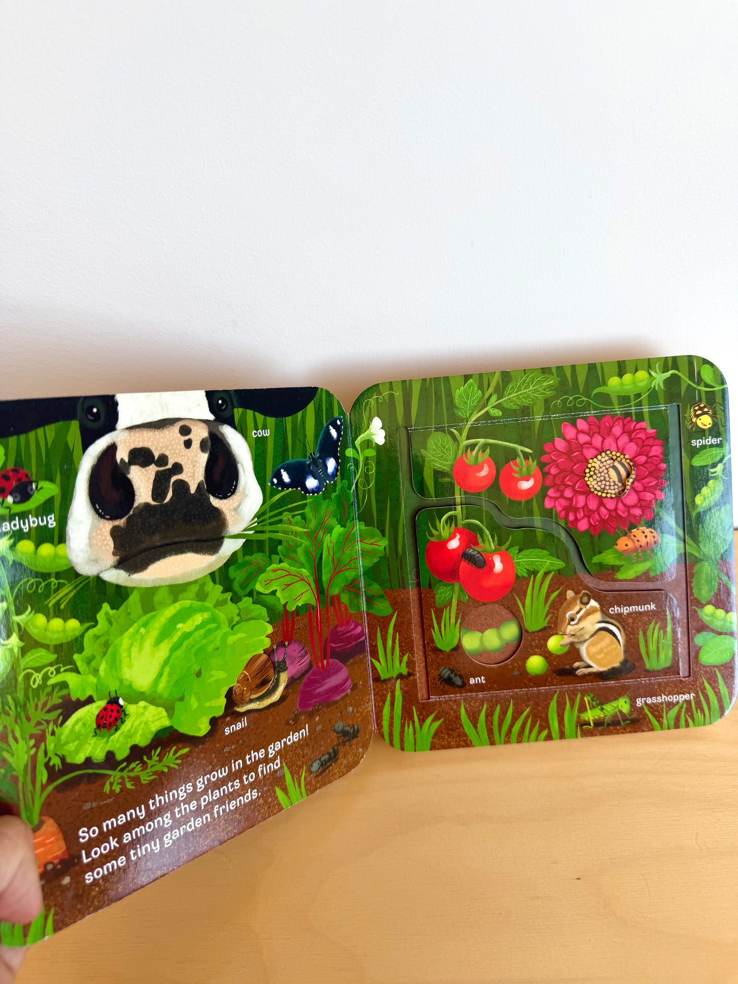 Moo Peek-a-Flap Book / 0-3 years