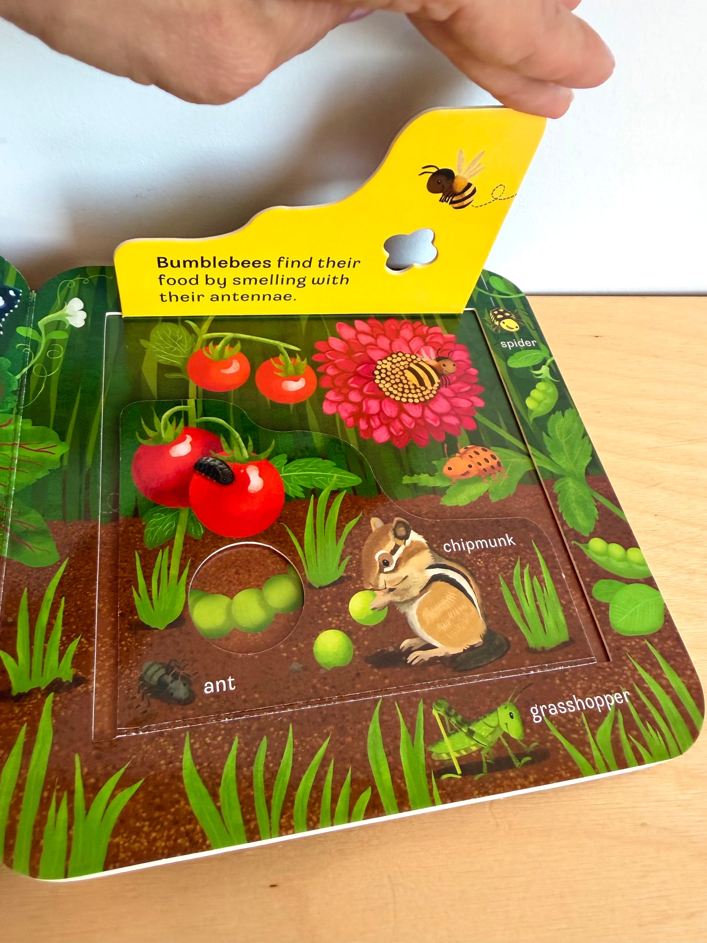 Moo Peek-a-Flap Book / 0-3 years