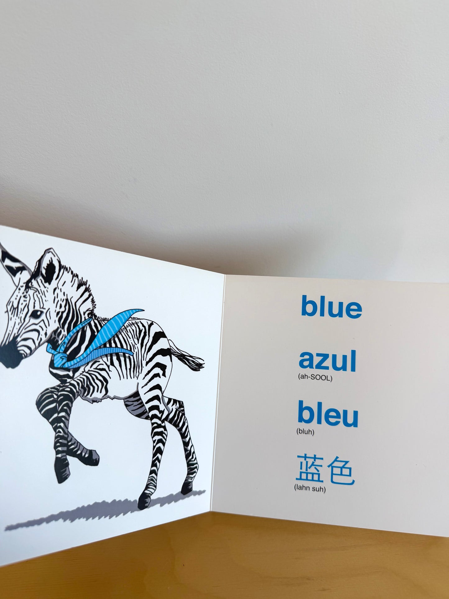 My Colors: A Book in Four Languages Book / 0-3 years