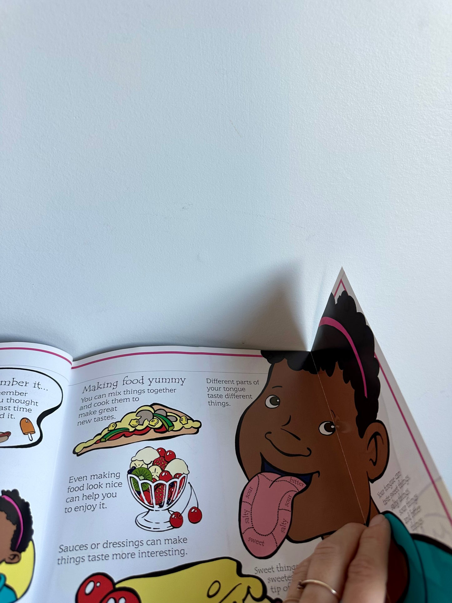 Flip Flap Body Book / 3-8 years