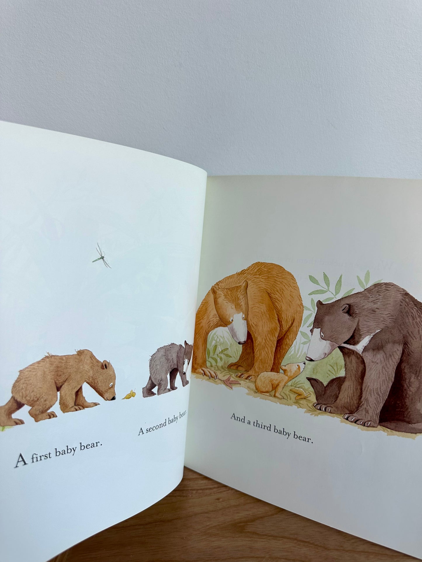 You're All My Favourites Book + DVD / 2-5 years (No Shipping)