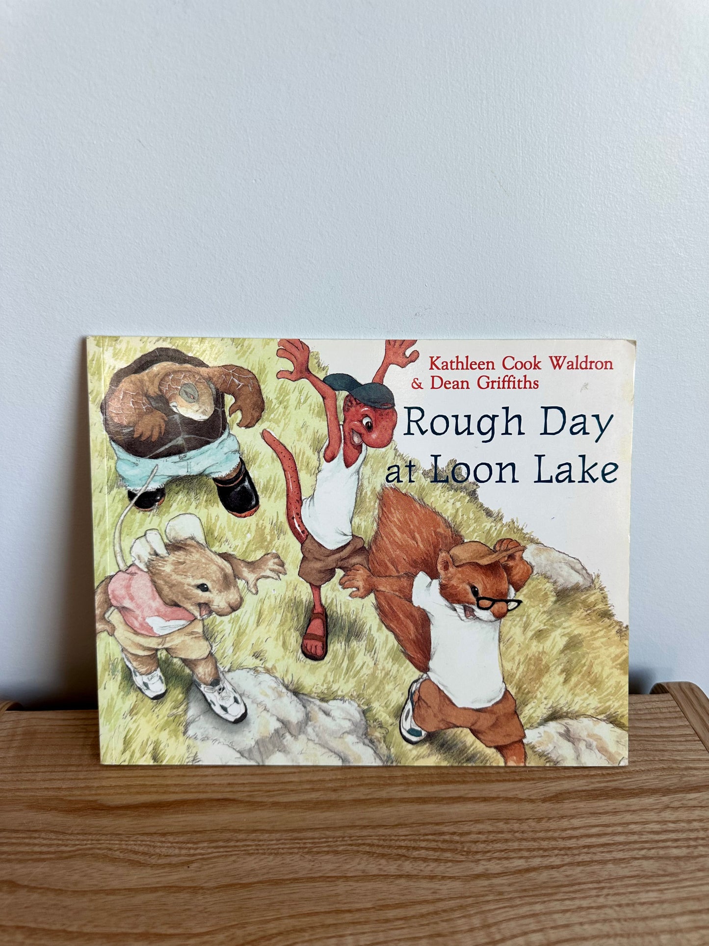 Rough Day At Loon Lake Book / 4-8 years