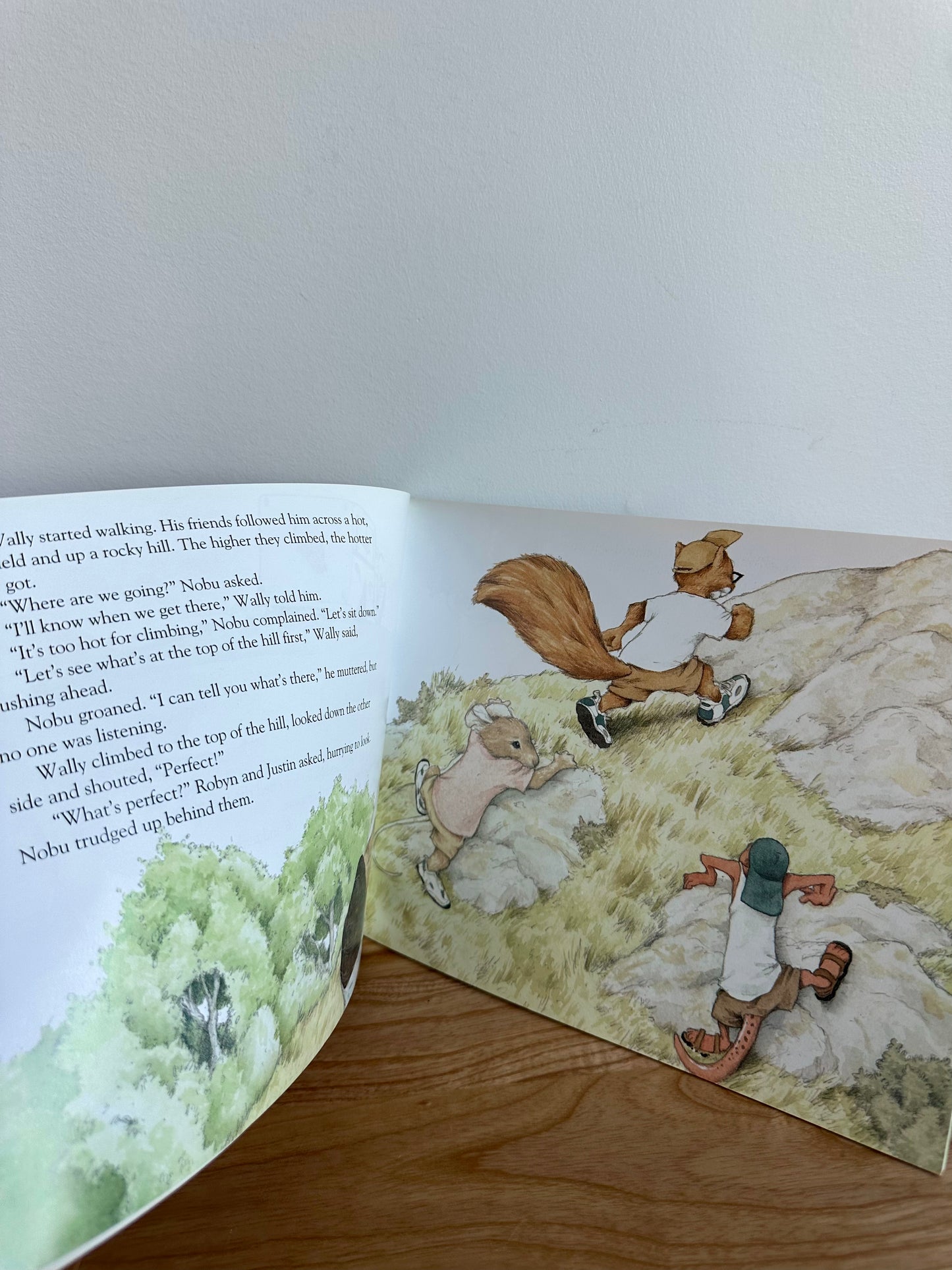 Rough Day At Loon Lake Book / 4-8 years