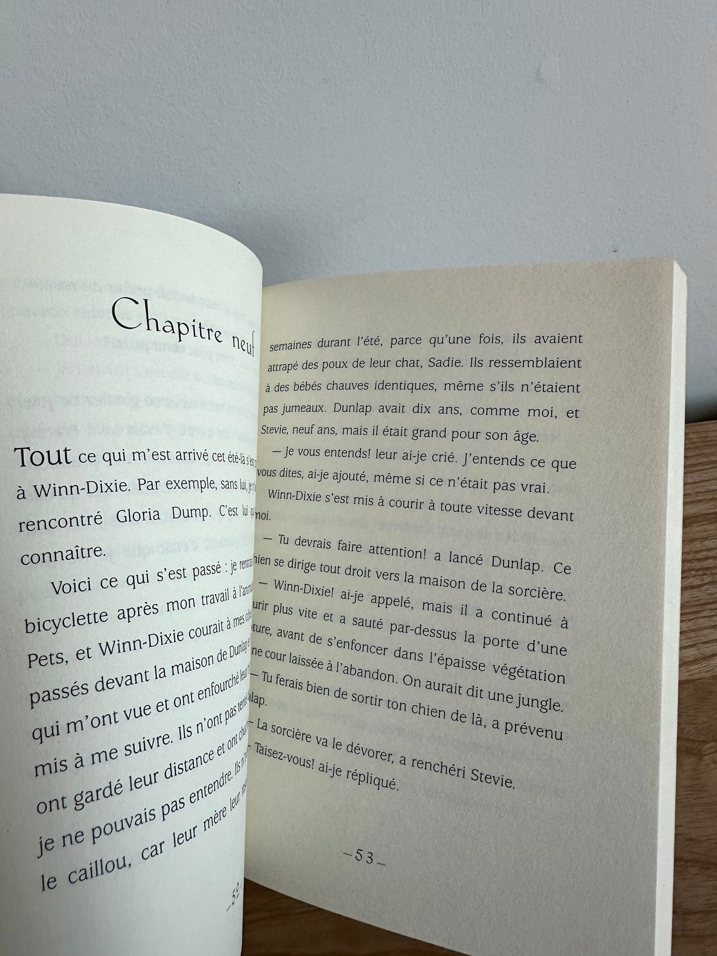 Winn-Dixie Book (In French) / 9-12 years