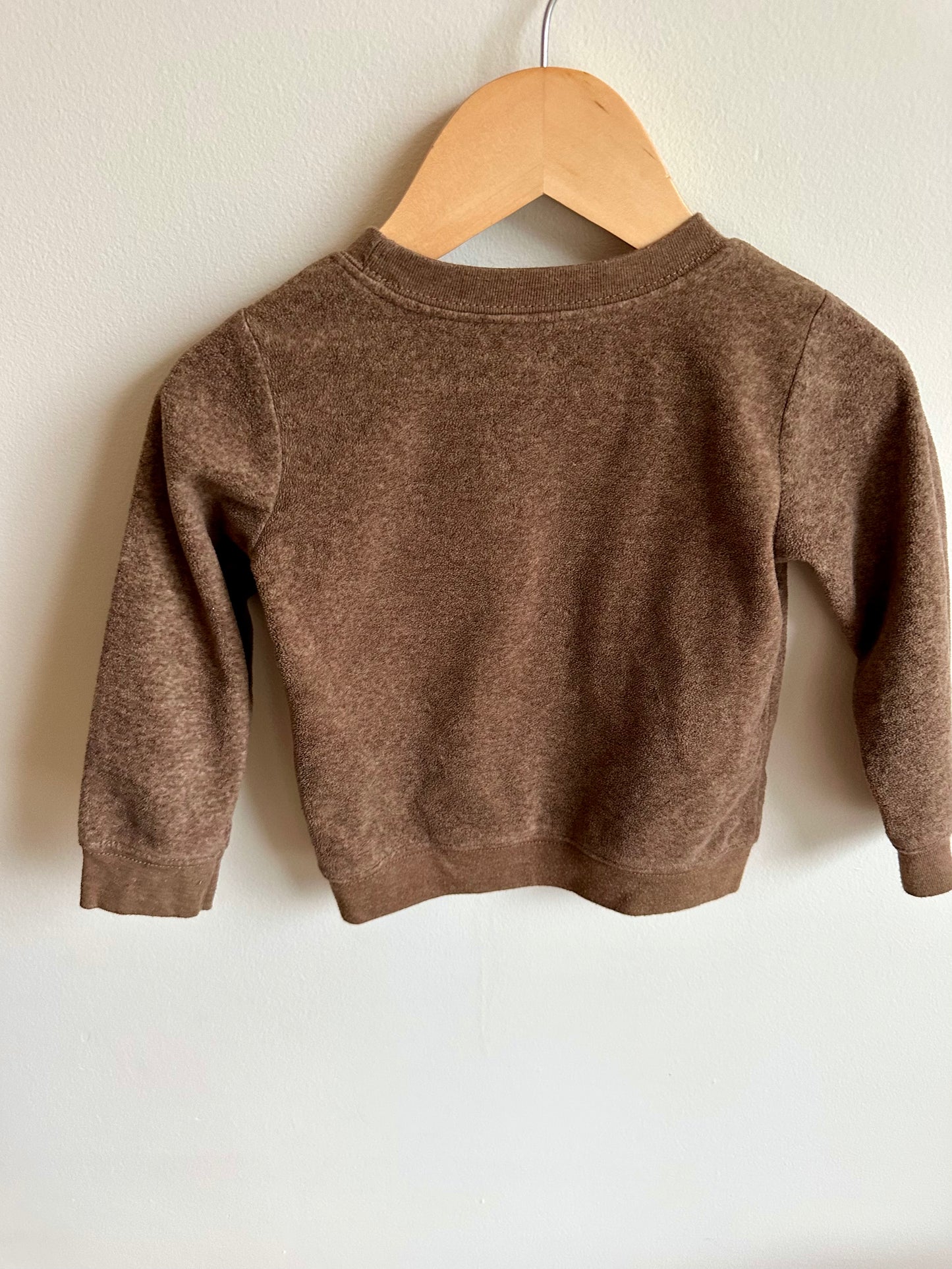 Brown Lion Sweater / 24m