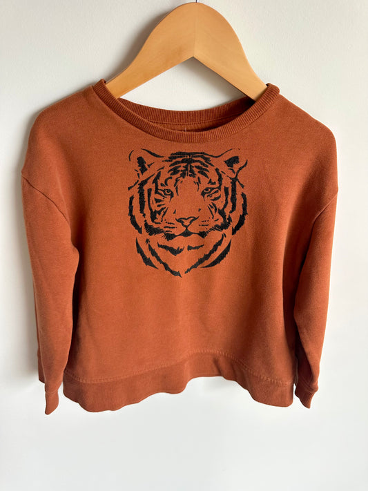 Tiger Rust Sweater / 3-4T?