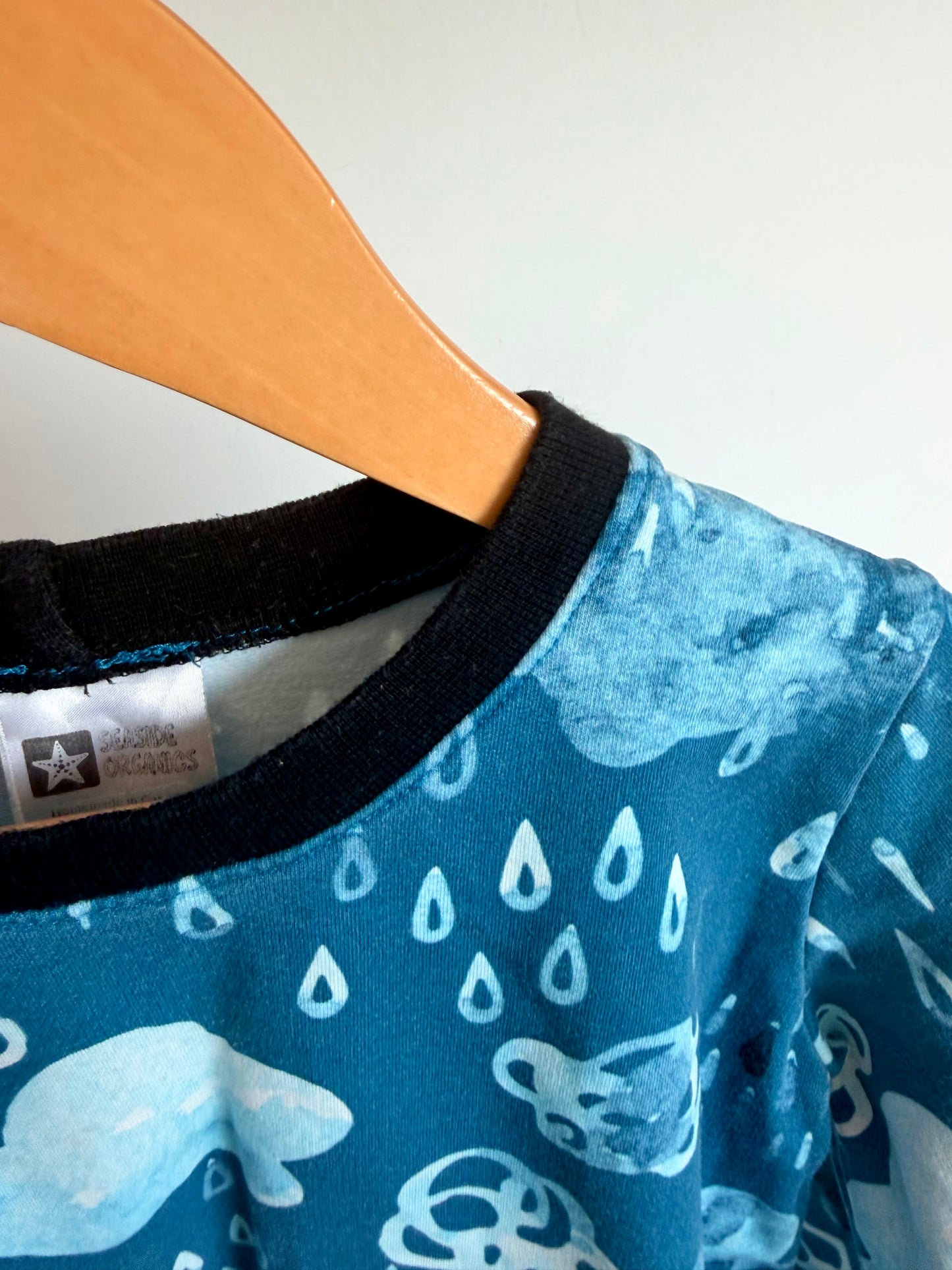Organic Cotton Rain Clouds Crewneck / 4T