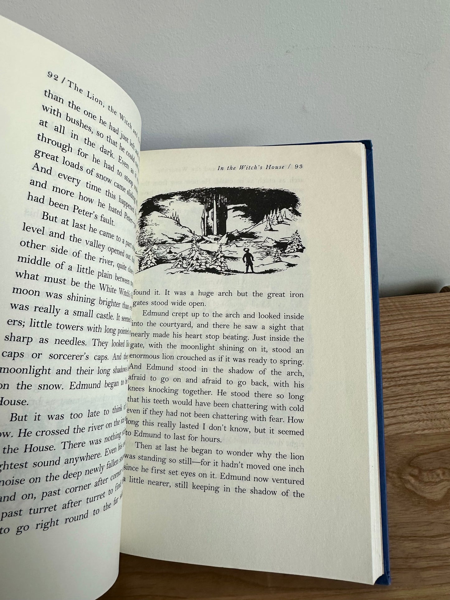 The Lion, the Witch and the Wardrobe Book / 8-12 years