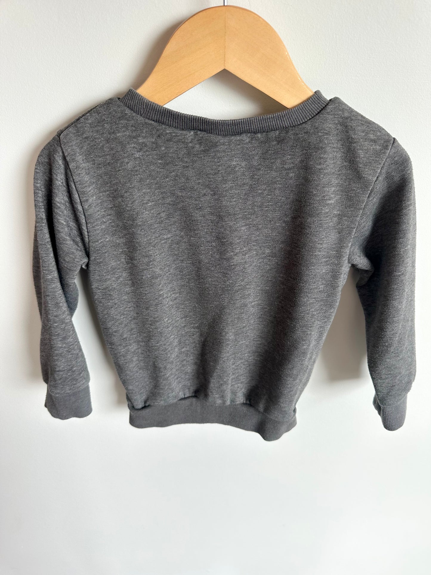 Looney Tunes Grey Crewneck / 3T