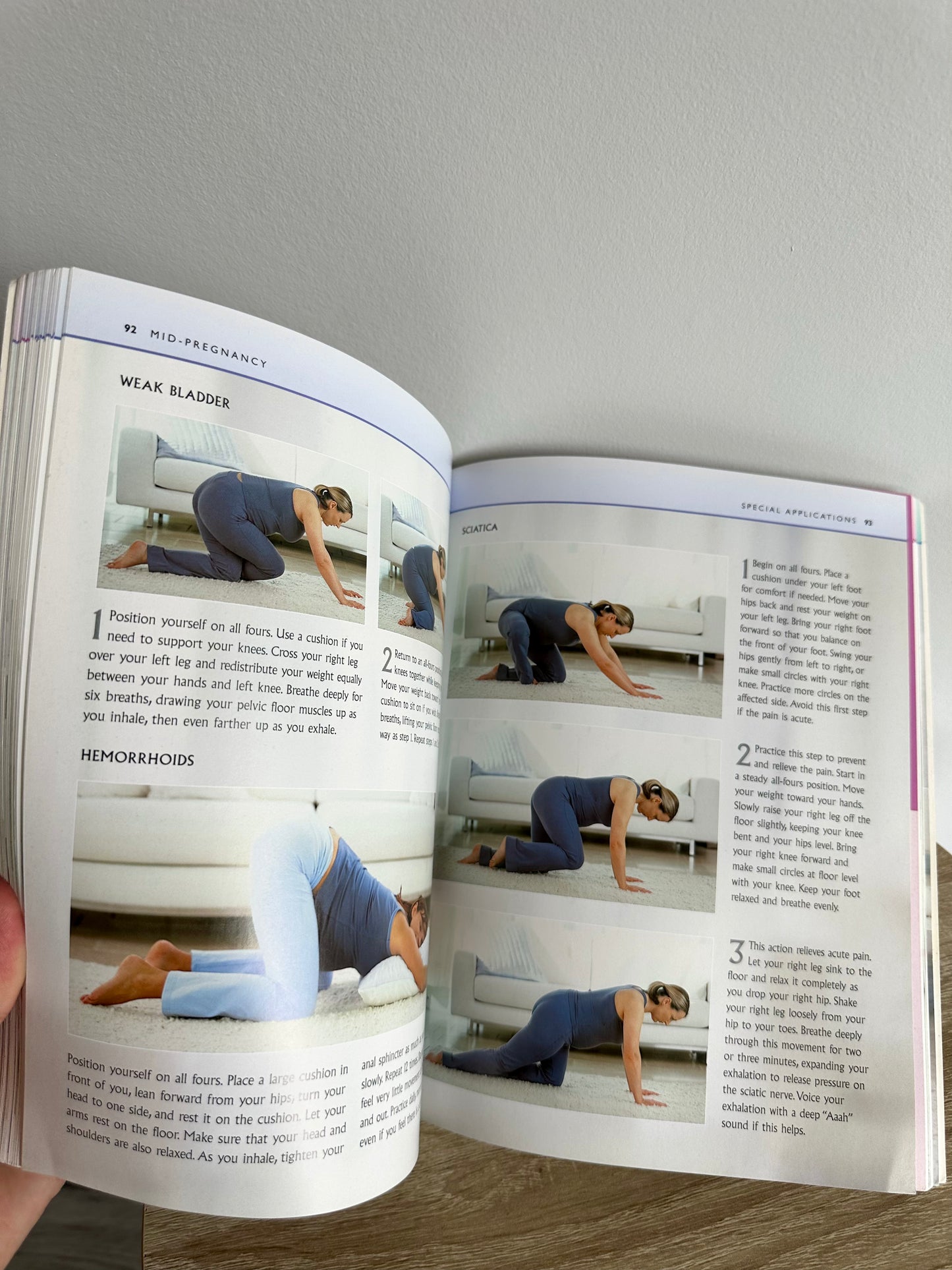 Yoga For Pregnancy Book (No Shipping)