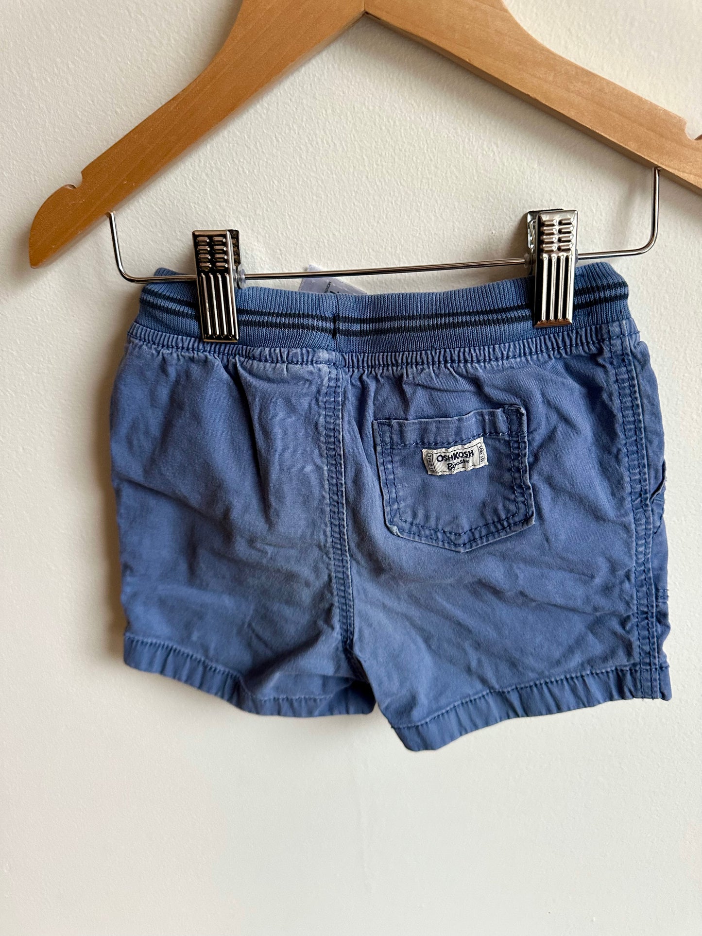 Blue Drawstring Shorts / 18m