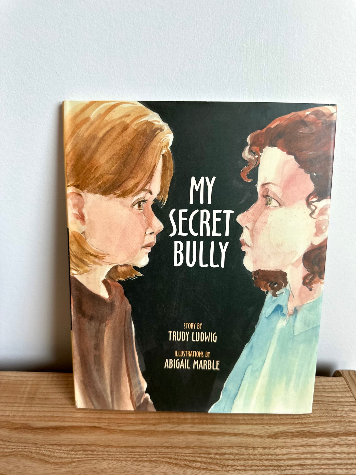 My Secret Bully Book / 6-9 years