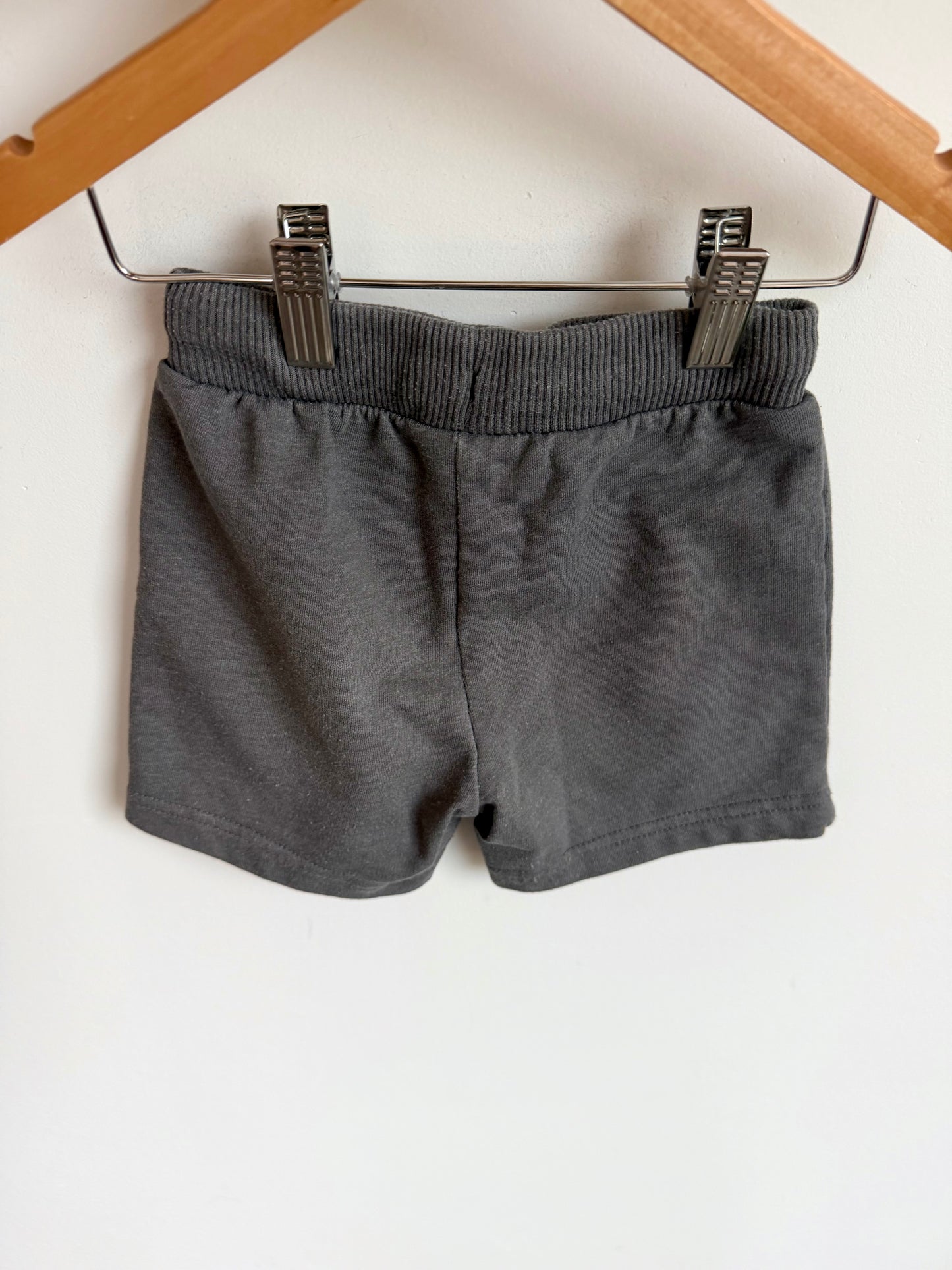 Grey Shorts with Functional Drawstring / 3T