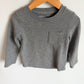 Grey Long Sleeve / 3T