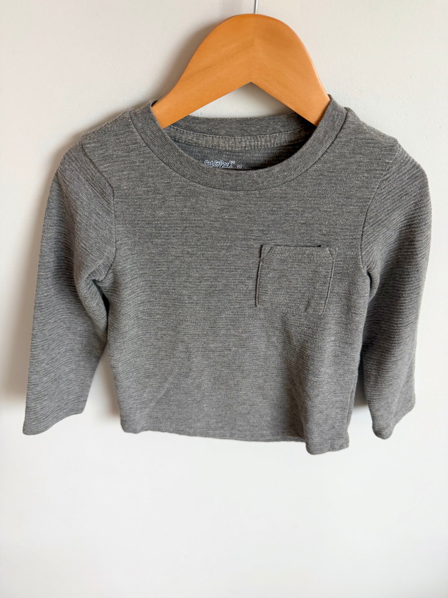 Grey Long Sleeve / 3T