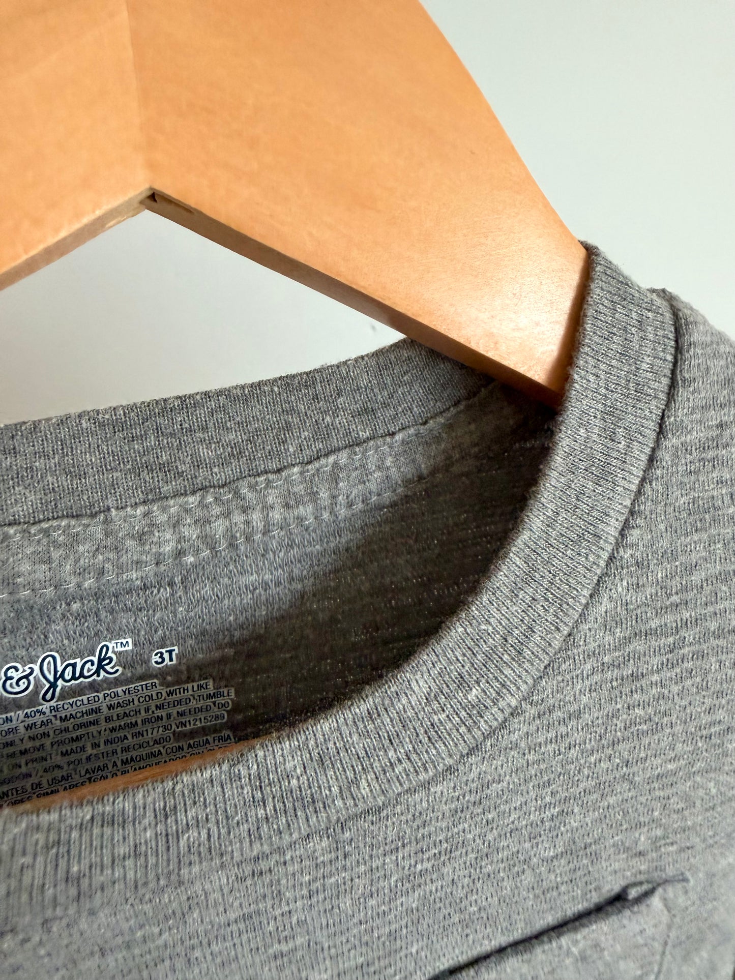 Grey Long Sleeve / 3T
