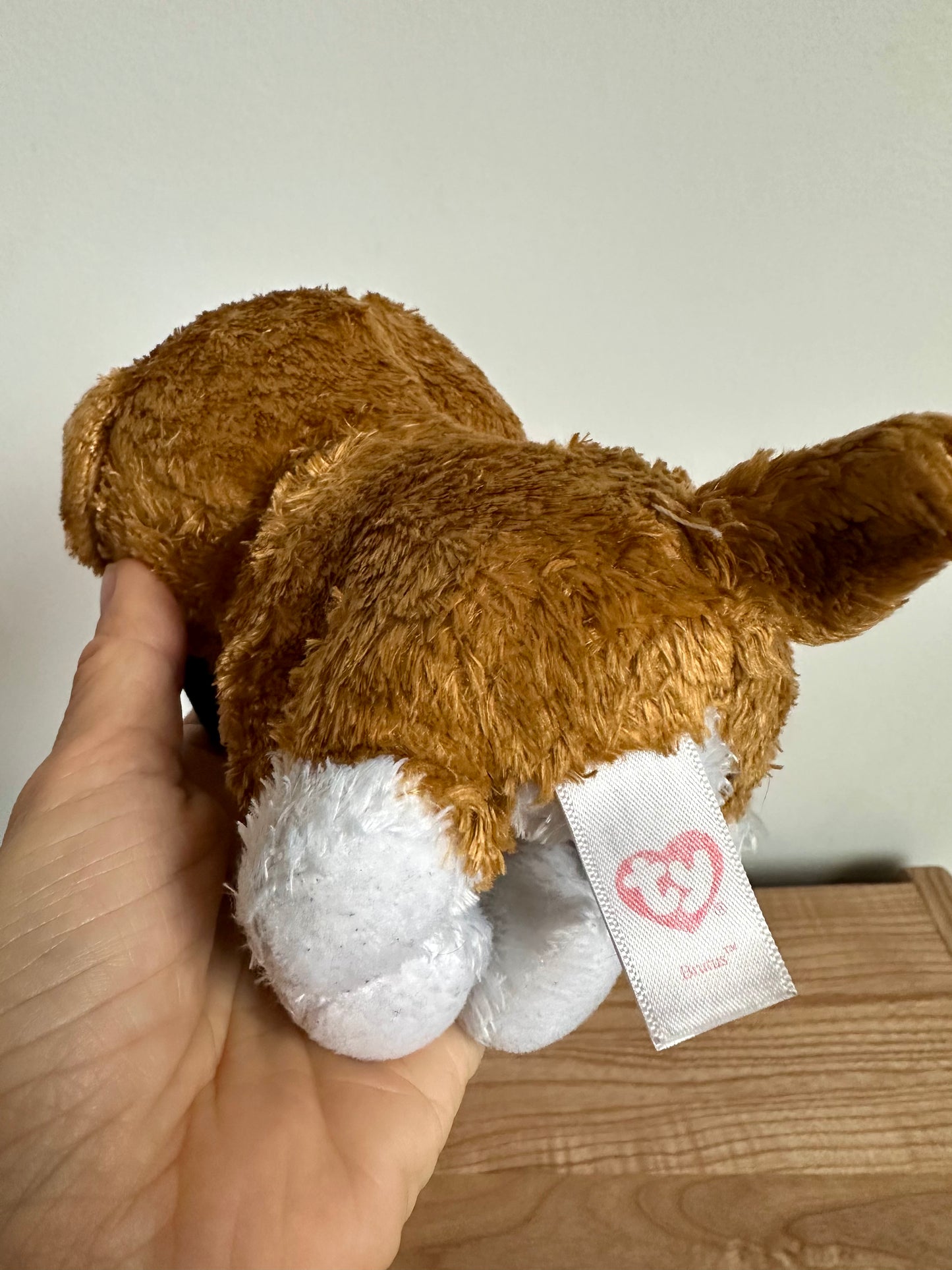 Ty Brutus Dog Beanie