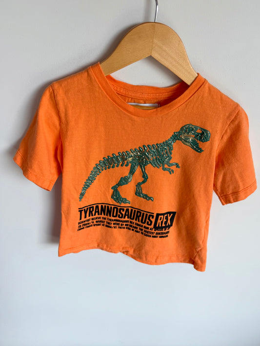 Tyrannosaurs Rex Orange Top / 5-6 years