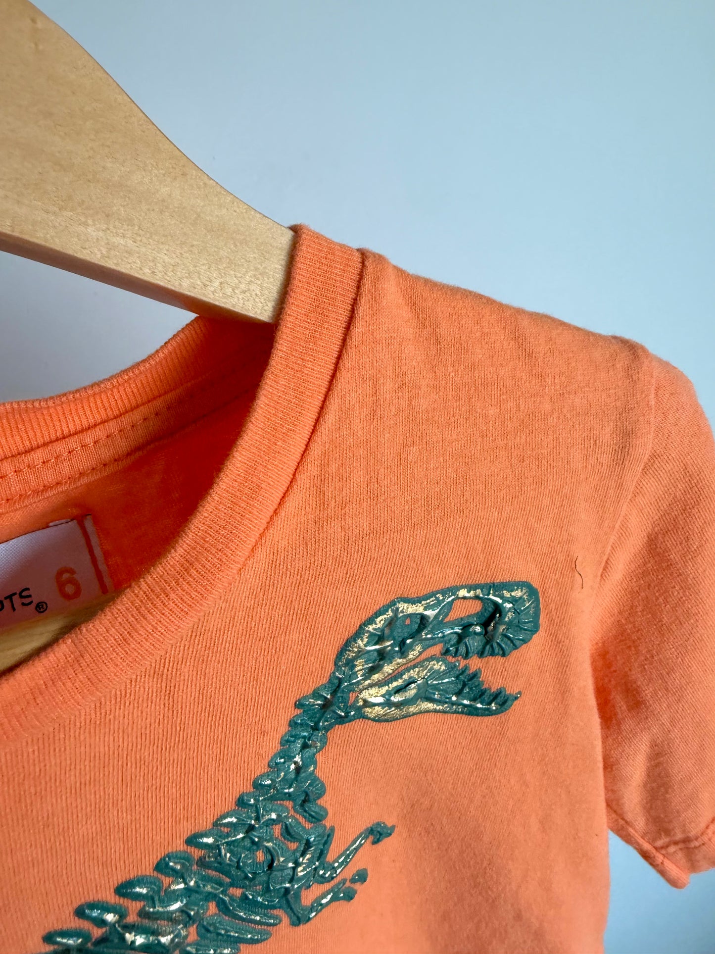 Tyrannosaurs Rex Orange Top / 5-6 years