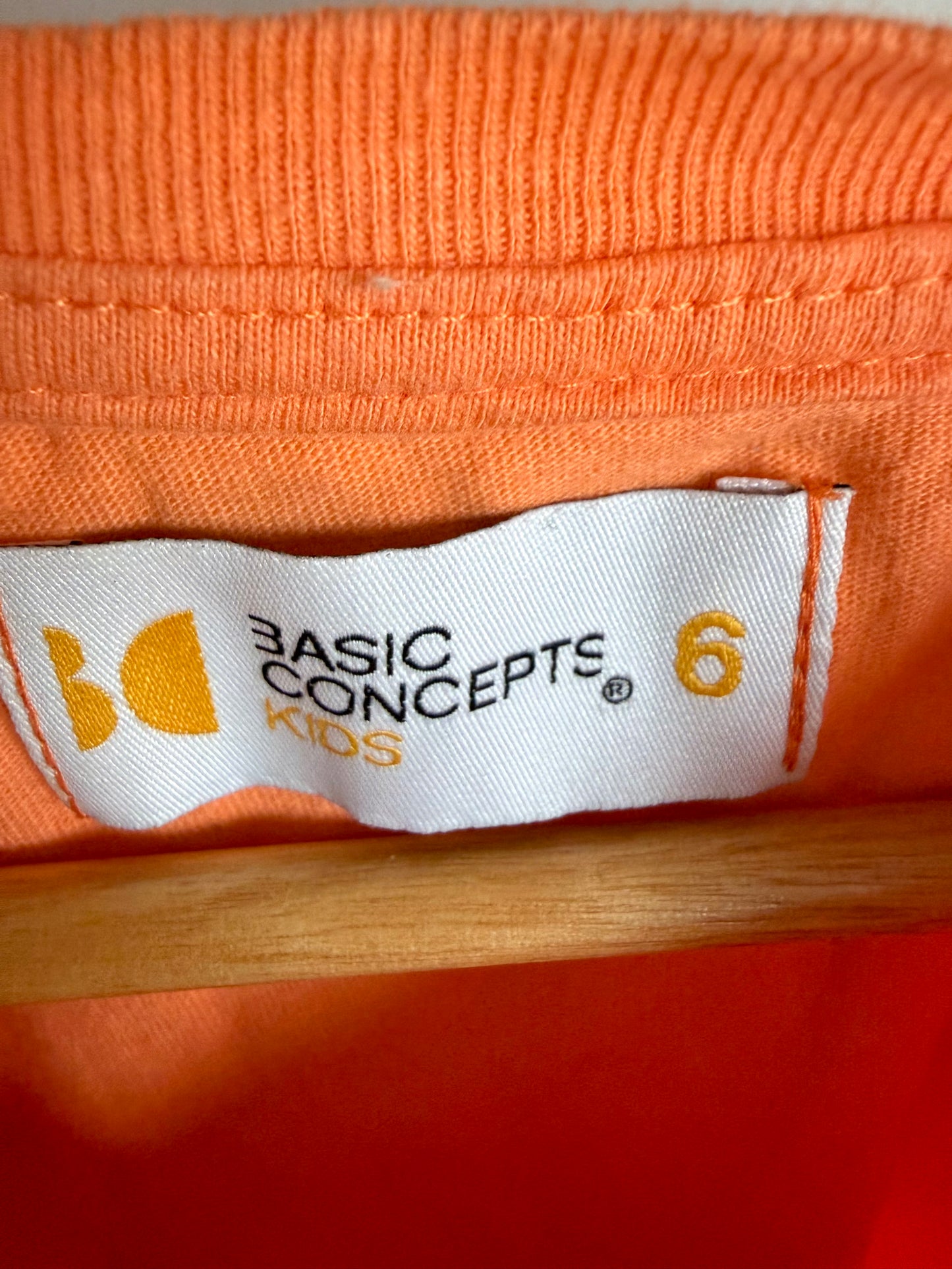 Tyrannosaurs Rex Orange Top / 5-6 years