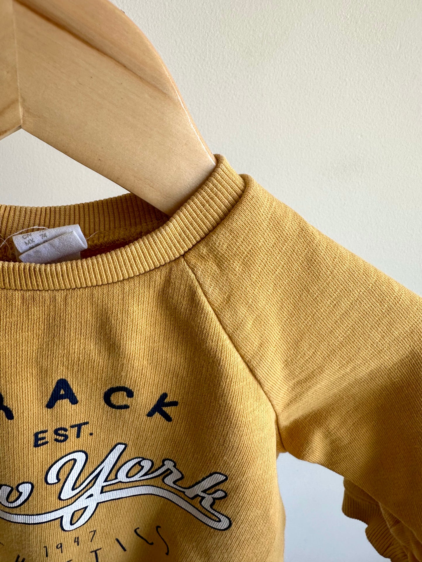 Bear Hood Blue Knit Sweater / 6-9m