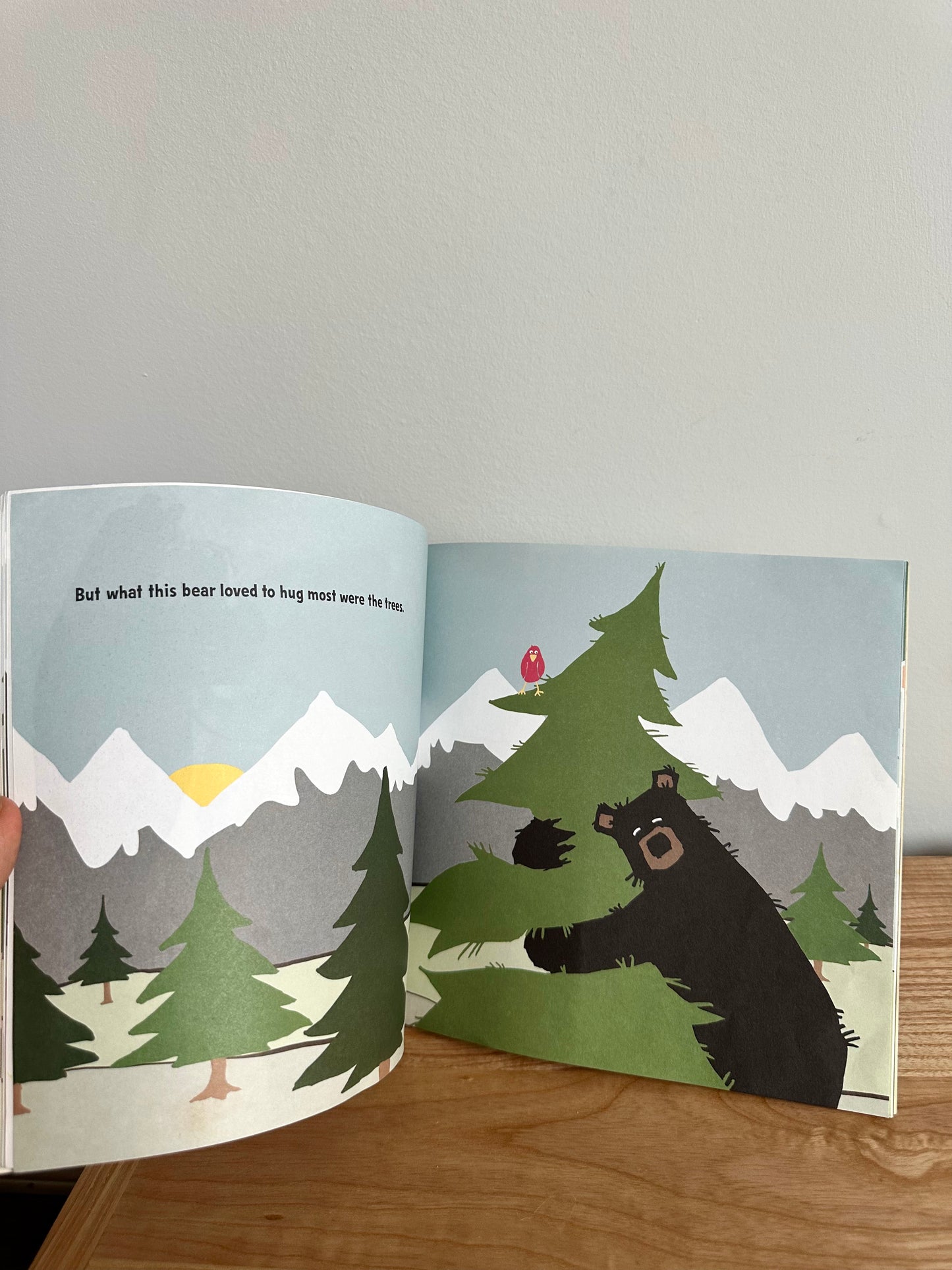 Big Bear Hug Book / 3-7 years