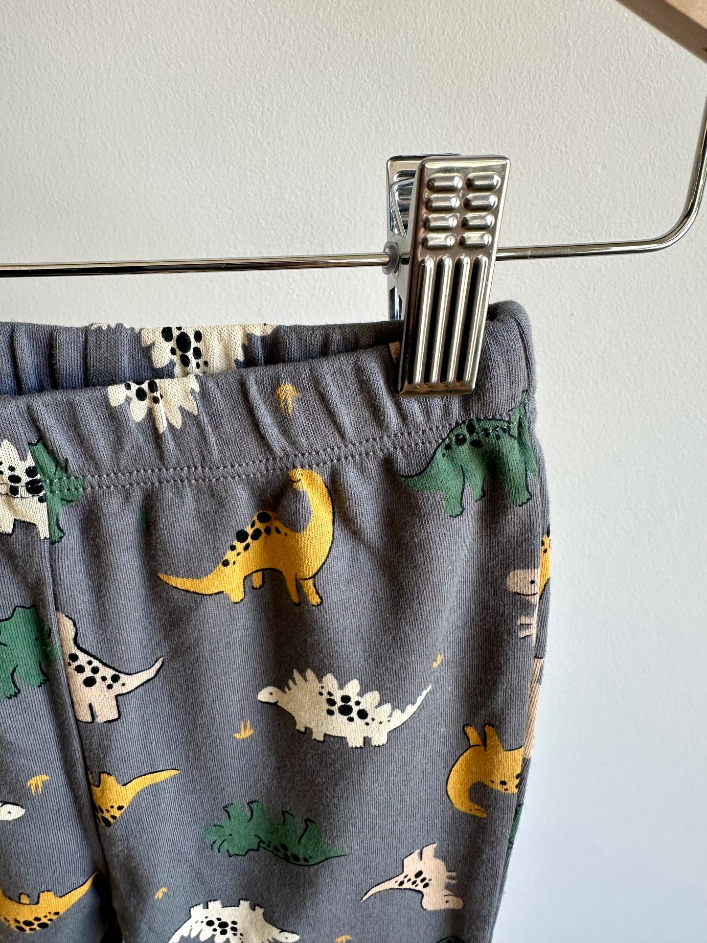 Dino Pattern Slate Pants / 12m