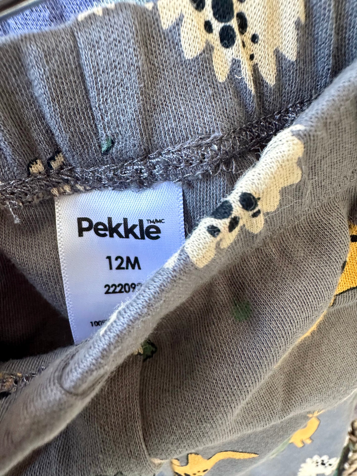 Dino Pattern Slate Pants / 12m