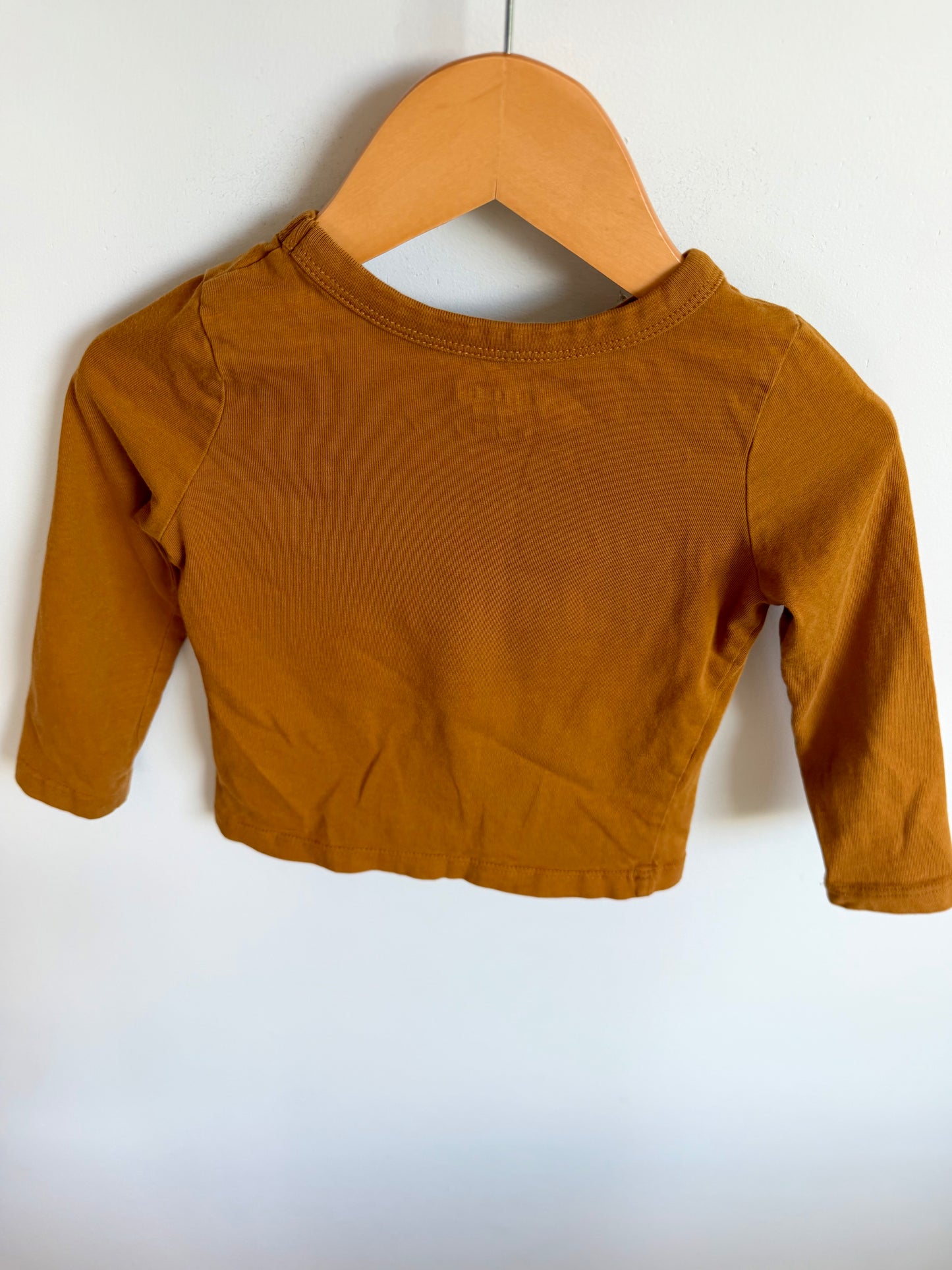 Cool Crew Dino Long Sleeve / 18-24m