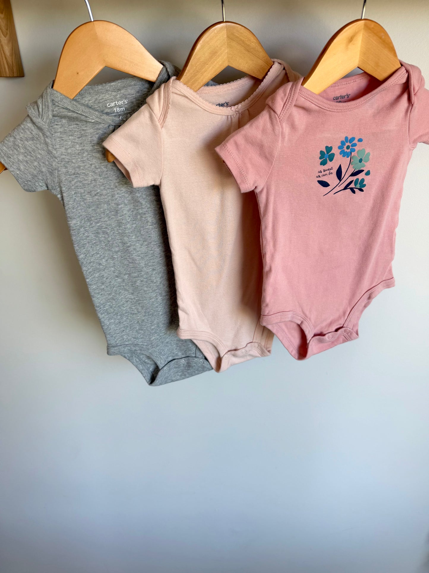 Set of 3 Short Sleeve Bodysuits / 18m
