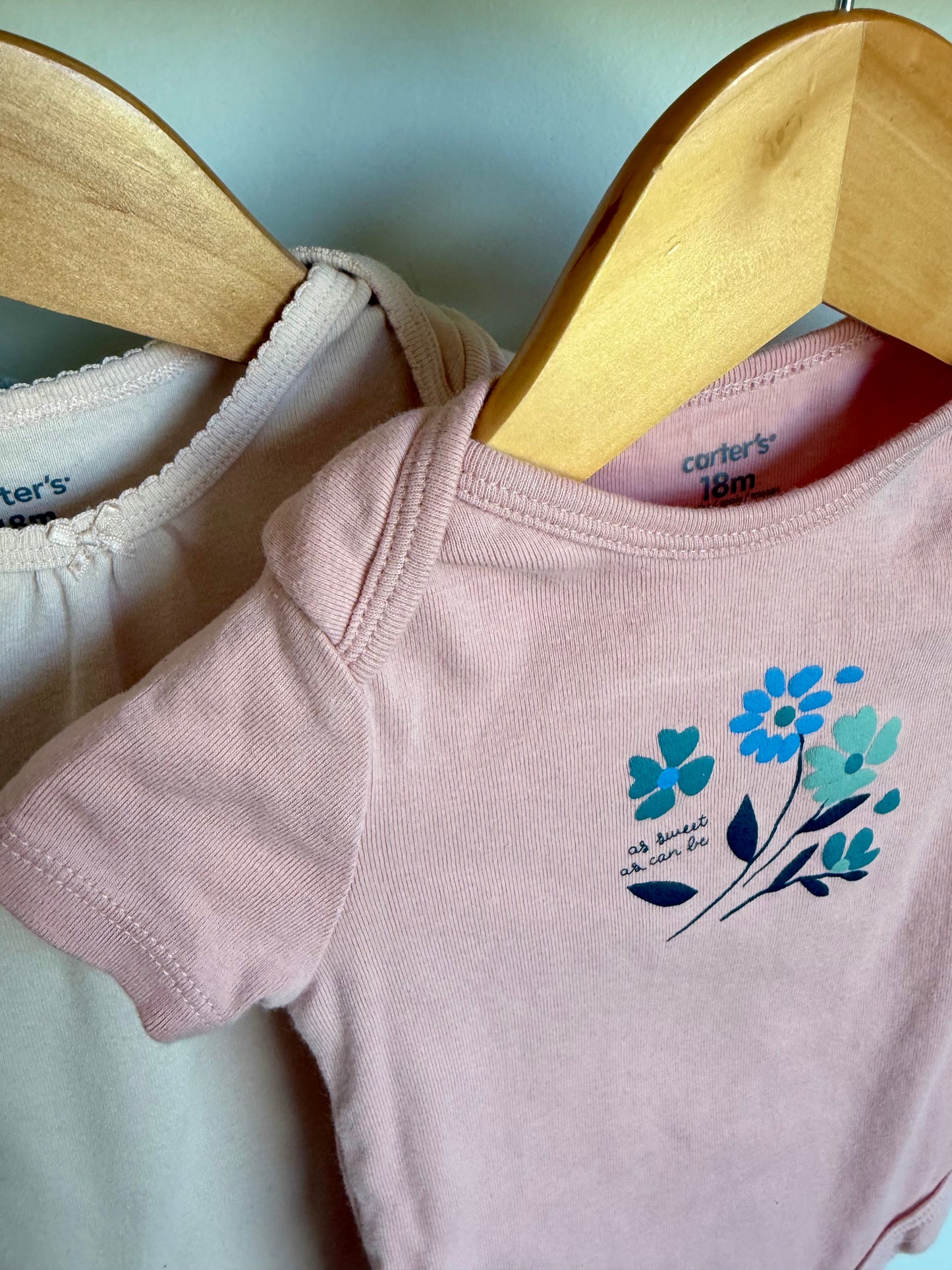 Set of 3 Short Sleeve Bodysuits / 18m