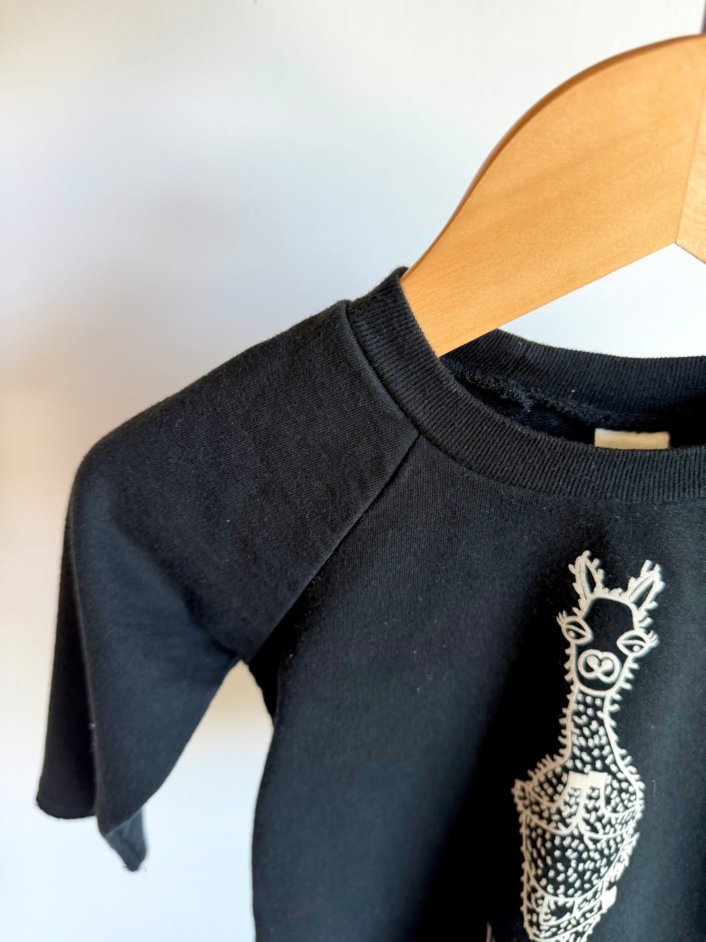 Llamaste Black Crewneck / 18m