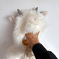 Goat Pottery Barn Costume / 12-24m