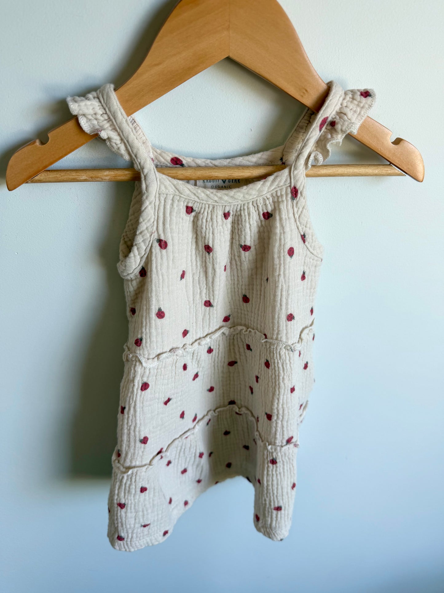 Organic Cotton Ladybug Tiered Tunic / 2T