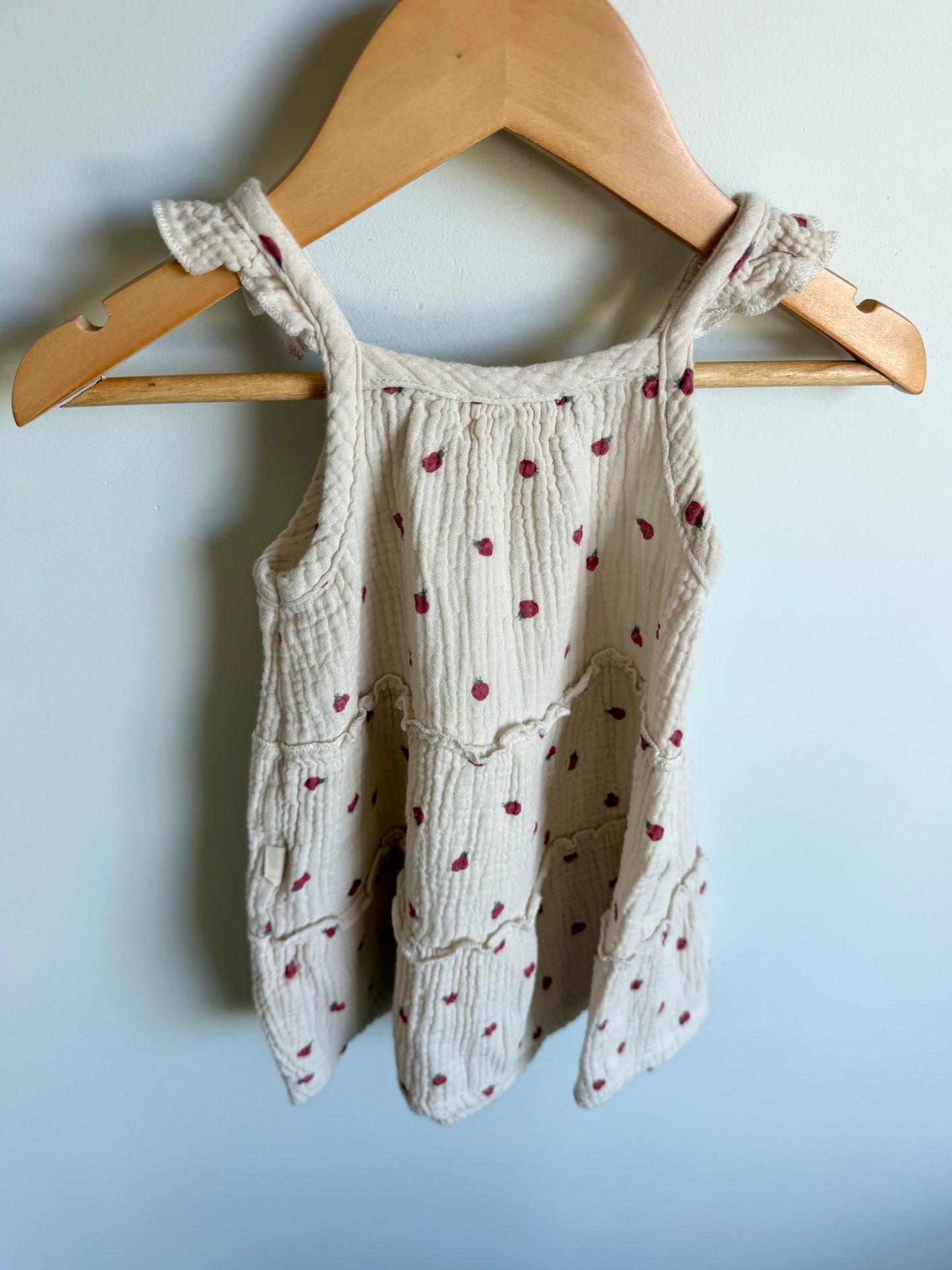 Organic Cotton Ladybug Tiered Tunic / 2T