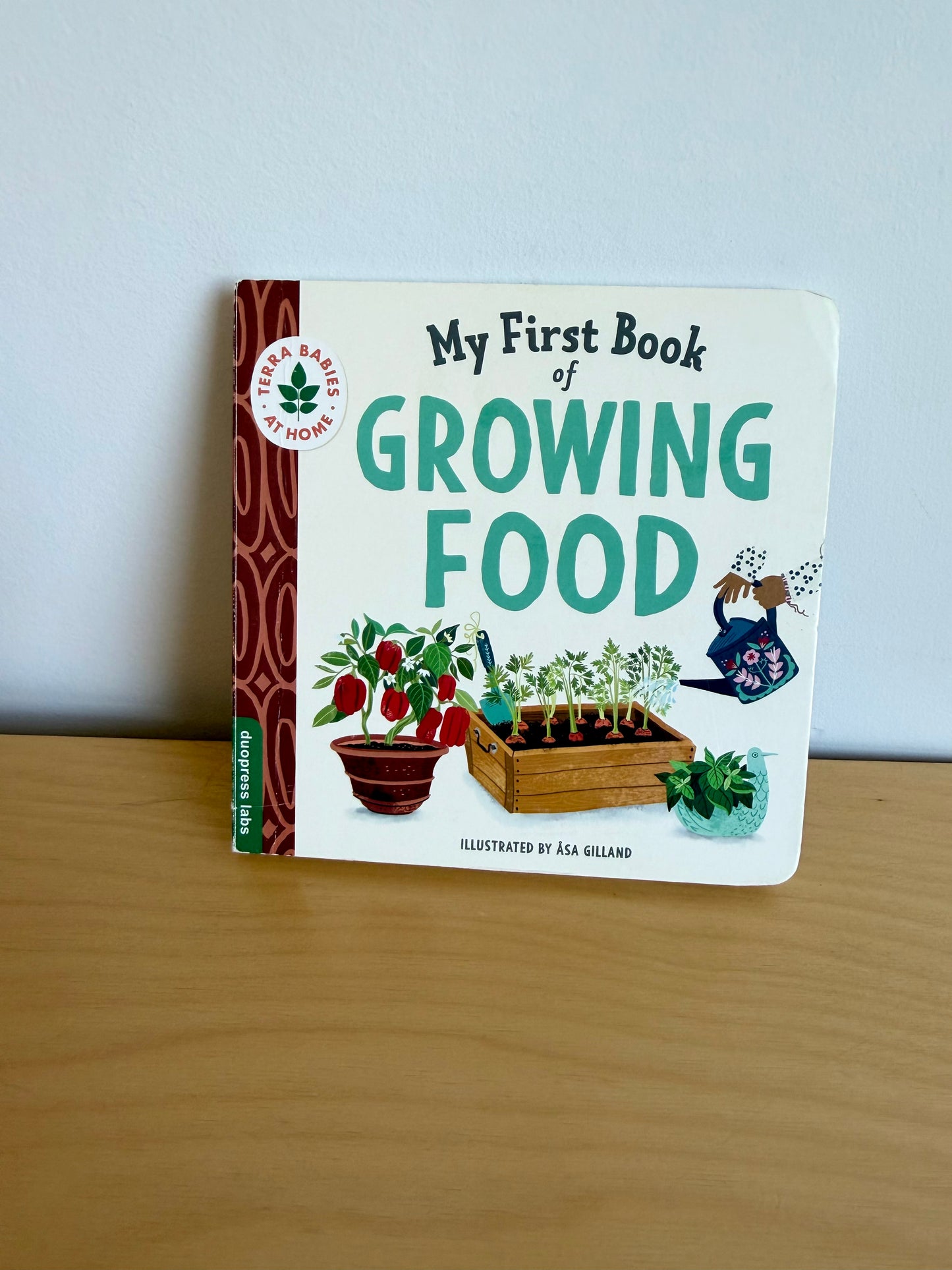First Book of Growing Food Board Book / 1-5 years